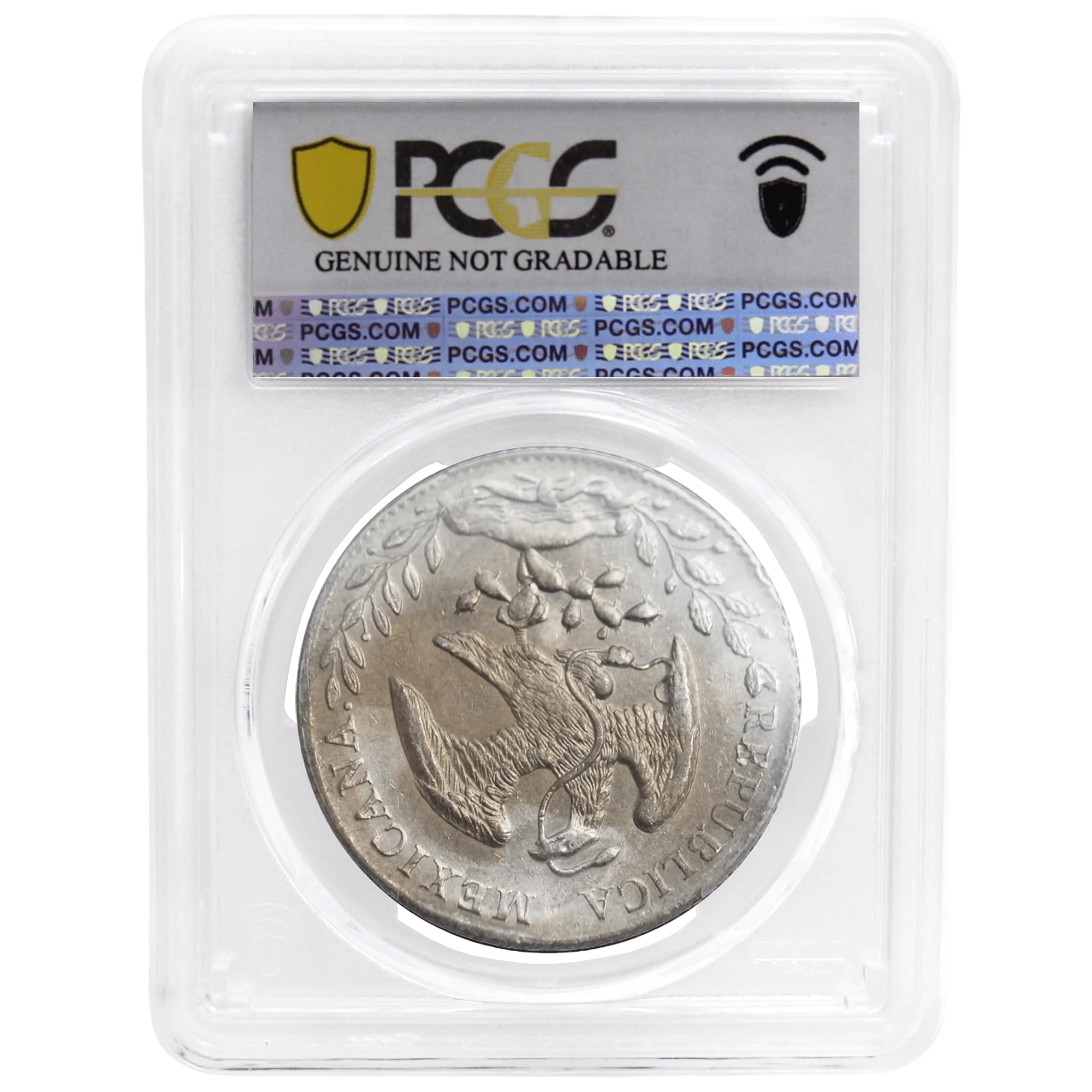 PCGS Genuine Cleaned-AU Detail Mexico Republic Silver Coin - Various Dates - Image 9